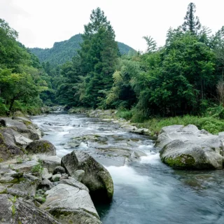 琴ひら温泉ゆめ山水