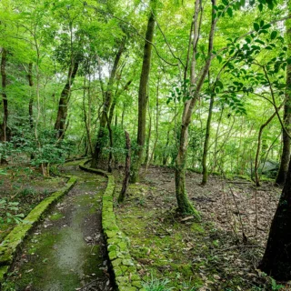 琴ひら温泉ゆめ山水